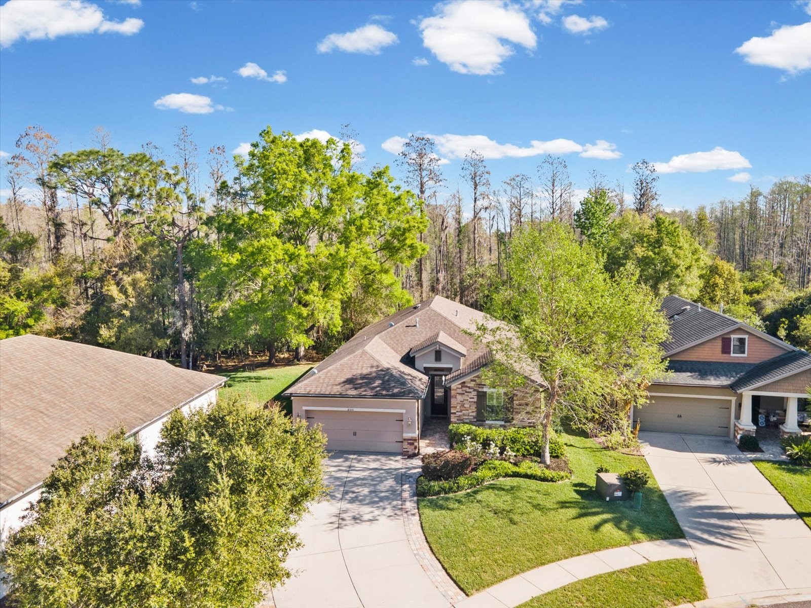 8531 May Port Court Land O Lakes FL 34638 TB8489350 image45