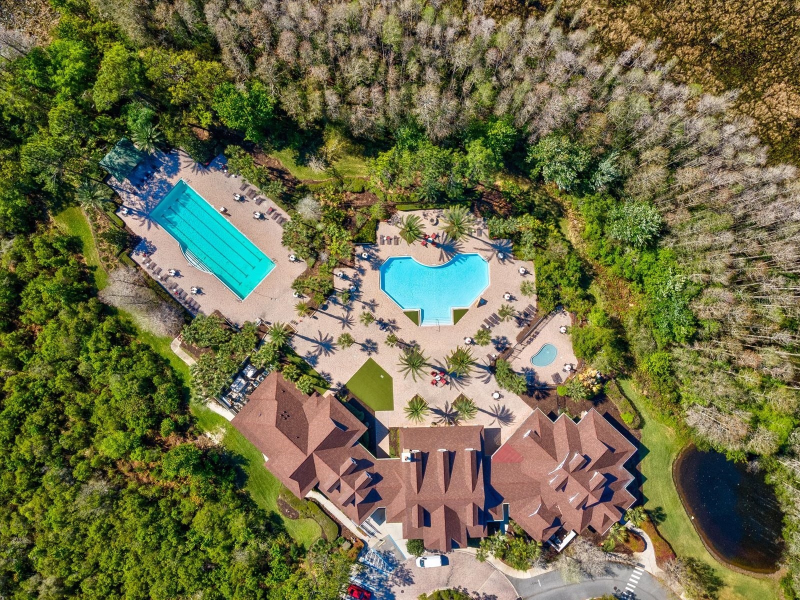 8531 May Port Court Land O Lakes FL 34638 TB8489350 image49