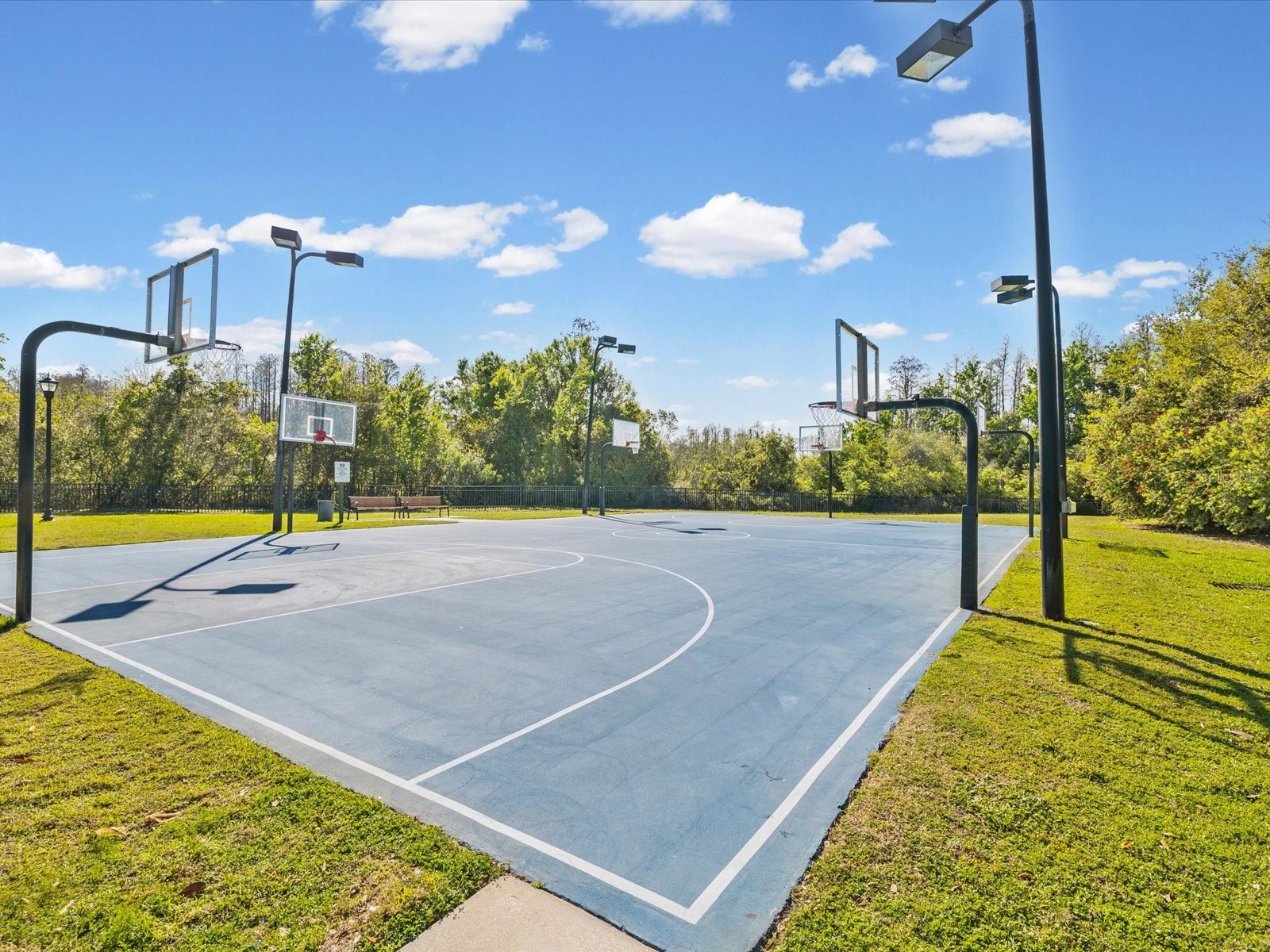 8531 May Port Court Land O Lakes FL 34638 TB8489350 image52