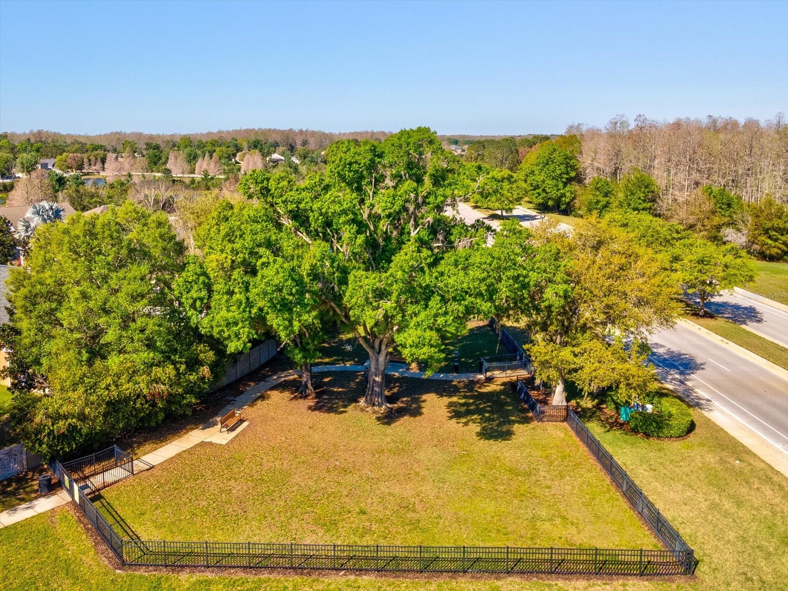 8531 May Port Court Land O Lakes FL 34638 TB8489350 image54