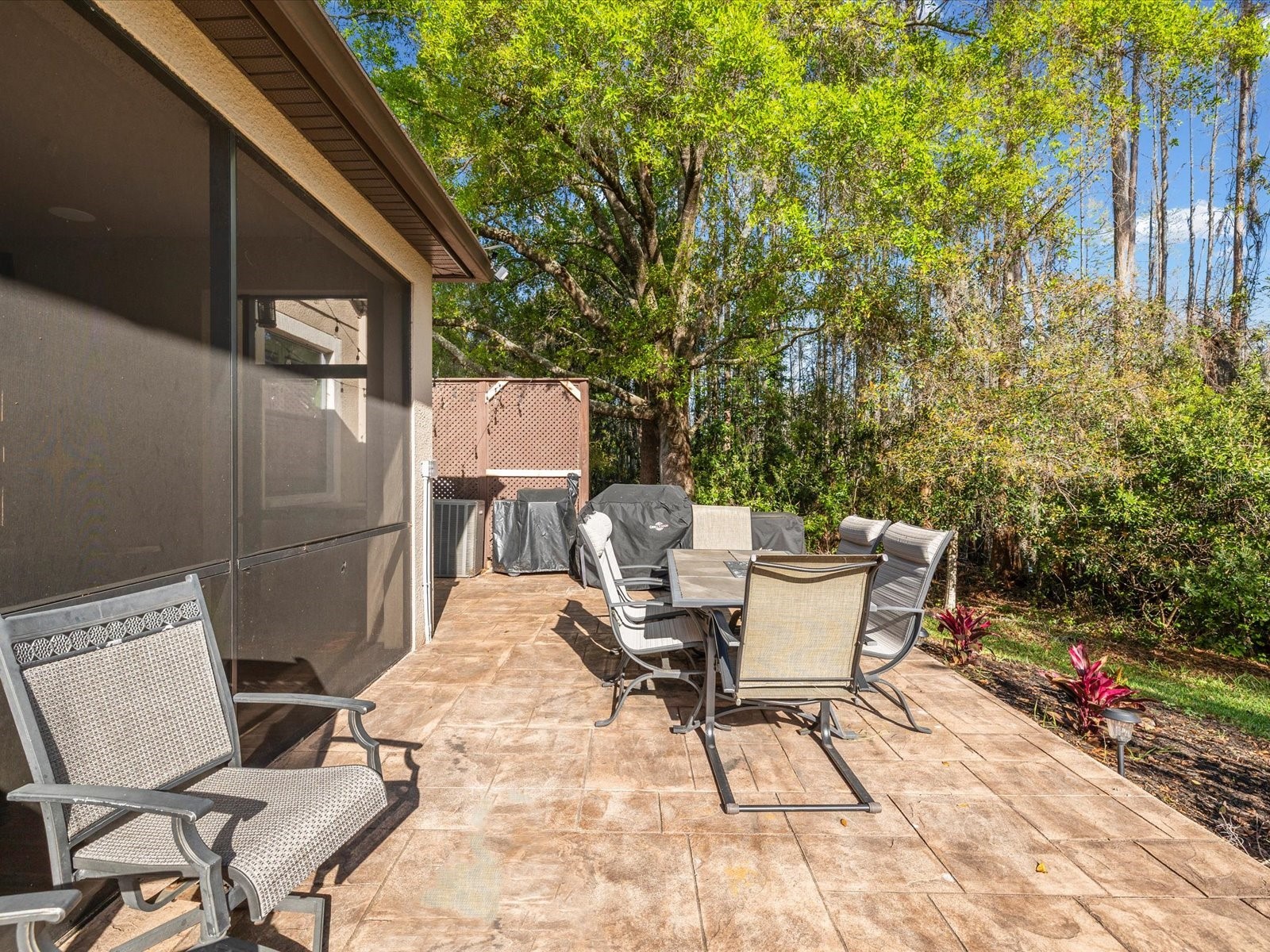 8531 May Port Court Land O Lakes FL 34638 TB8489350 image55