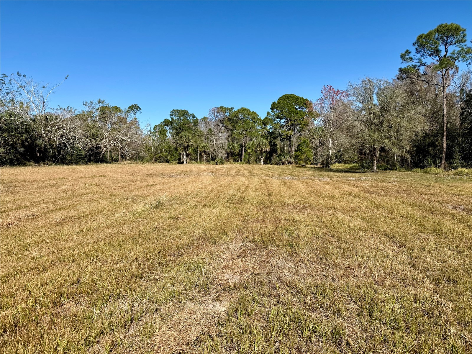 8531 Sweetwater Trail Kissimmee FL 34747 S5142072 image2