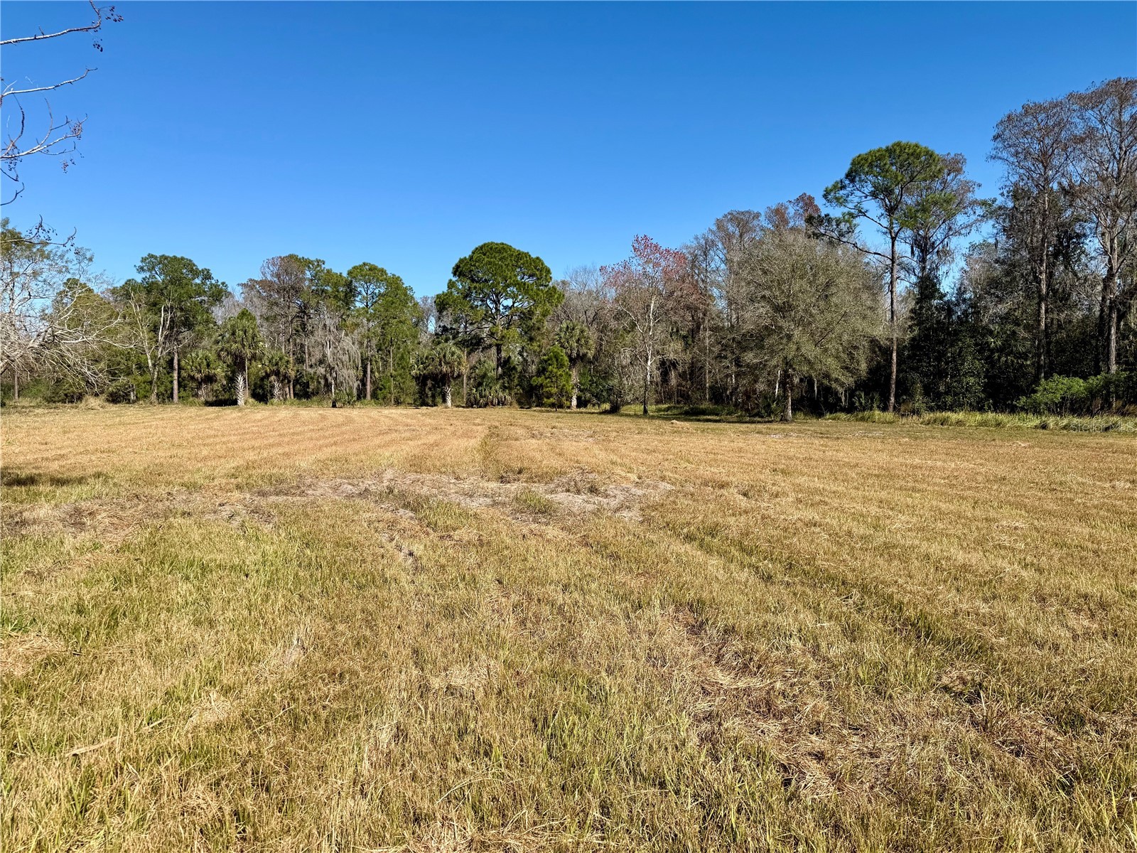 8531 Sweetwater Trail Kissimmee FL 34747 S5142072 image3