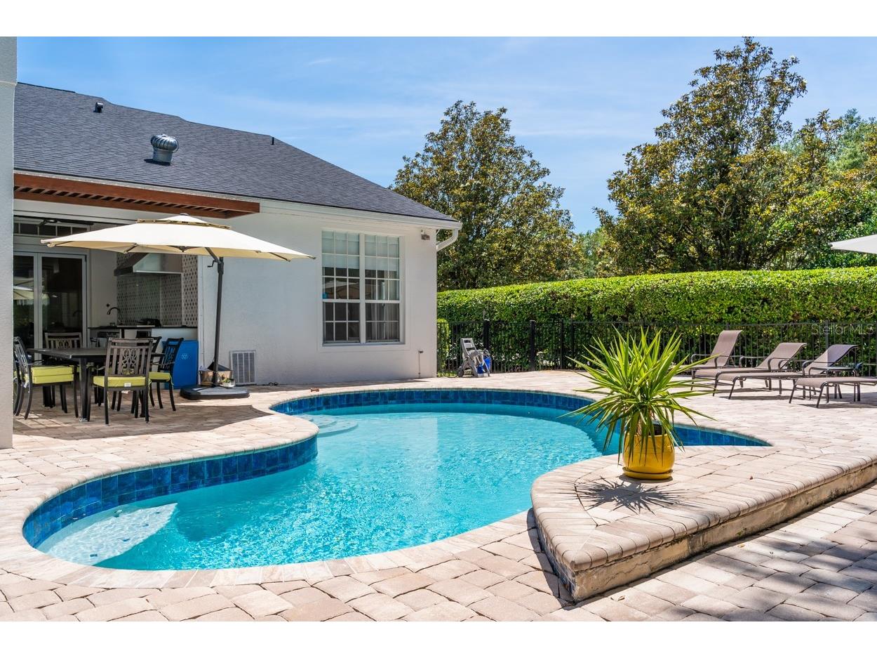 8532 Bowden Way Windermere FL 34786 O6380872 image24