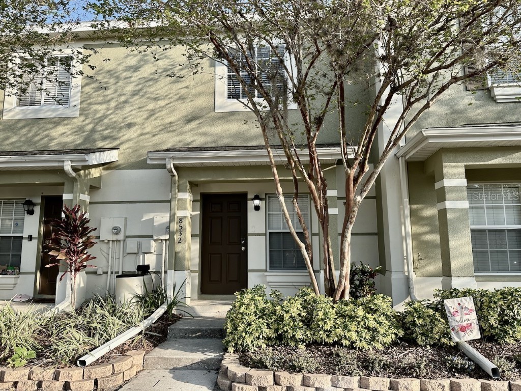 8532 Brushleaf Way Tampa FL 33647 T3433028 image1