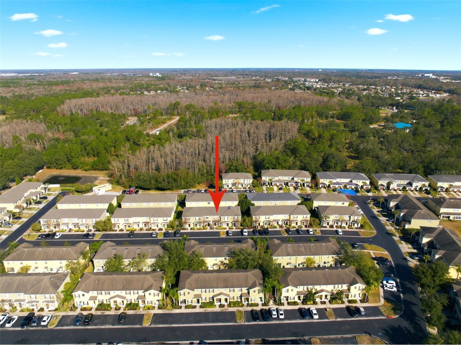 8532 Brushleaf Way Tampa FL 33647 TB8473459 image2