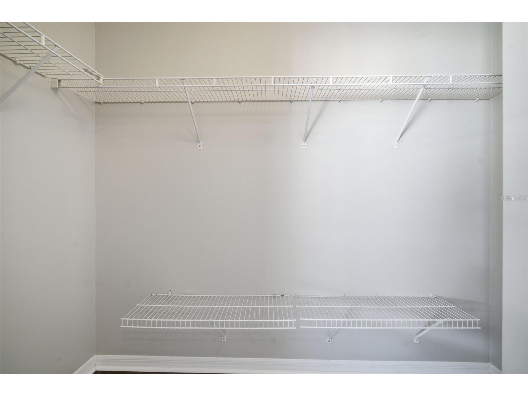 8532 Brushleaf Way Tampa FL 33647 TB8473459 image24