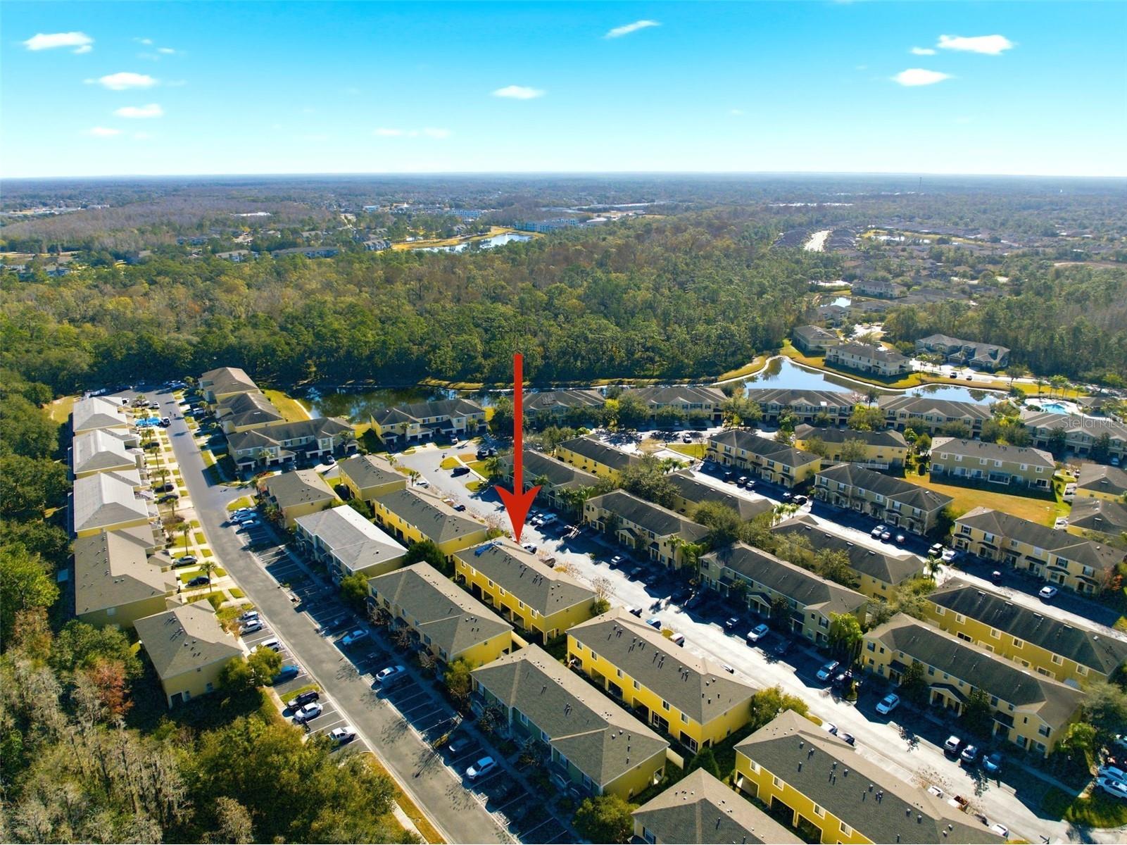 8532 Brushleaf Way Tampa FL 33647 TB8473459 image3