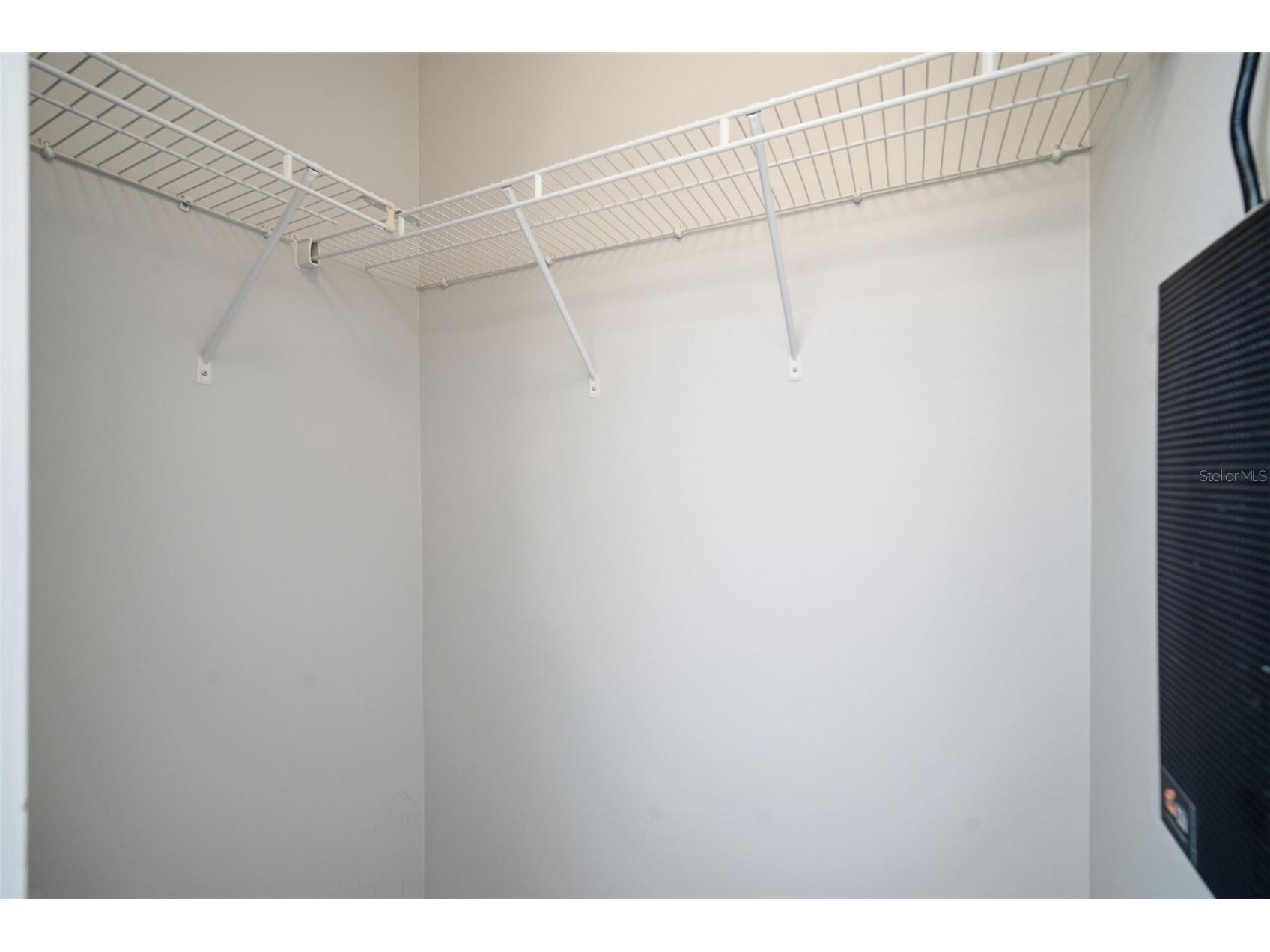 8532 Brushleaf Way Tampa FL 33647 TB8473459 image34