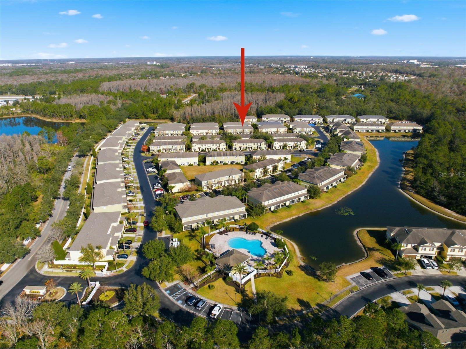 8532 Brushleaf Way Tampa FL 33647 TB8473459 image45