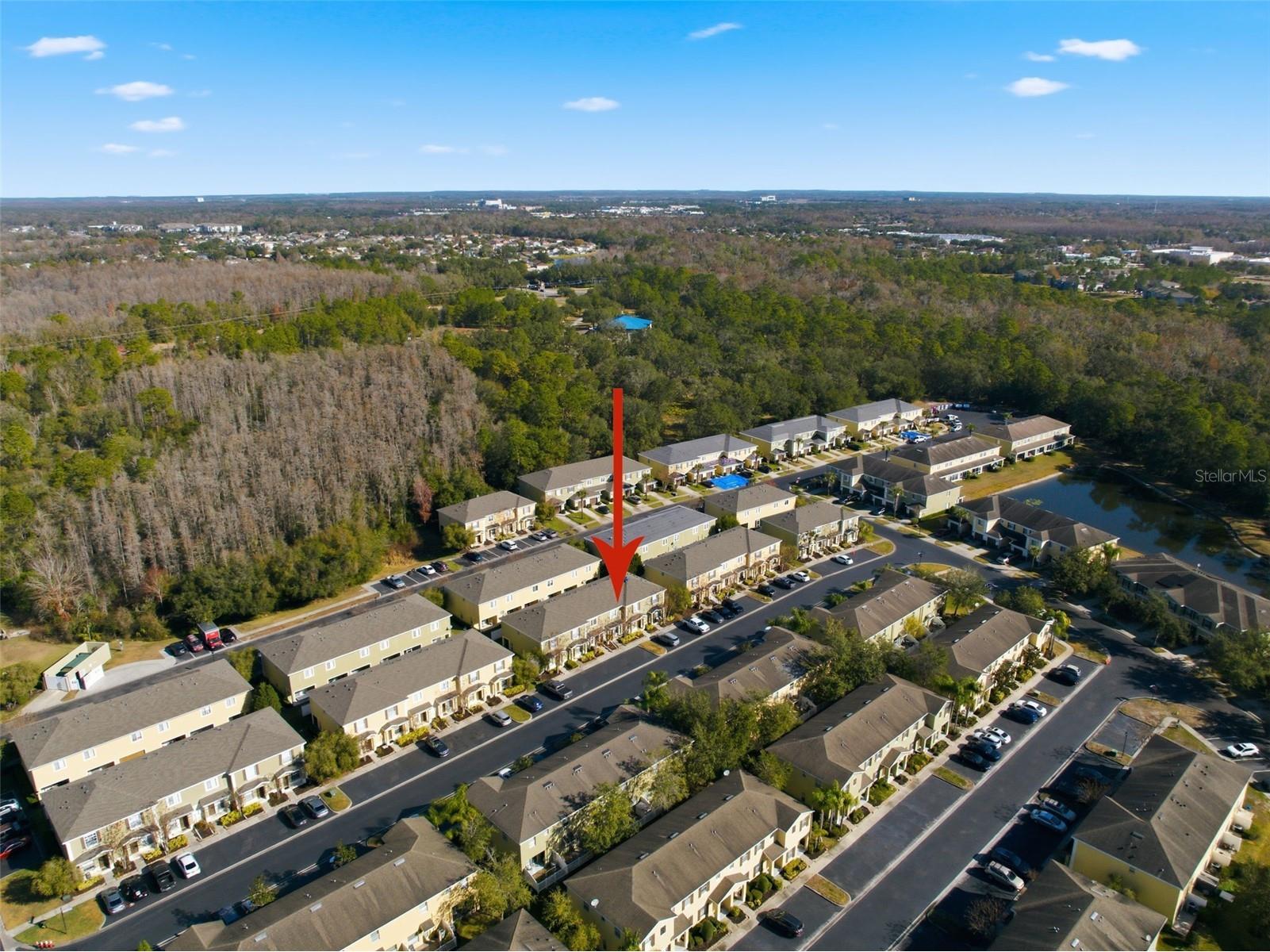 8532 Brushleaf Way Tampa FL 33647 TB8473459 image46