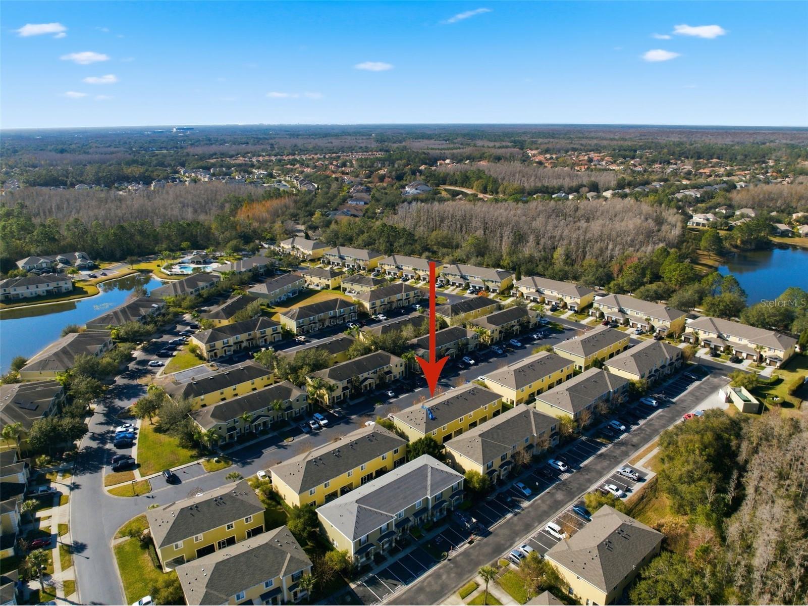 8532 Brushleaf Way Tampa FL 33647 TB8473459 image47