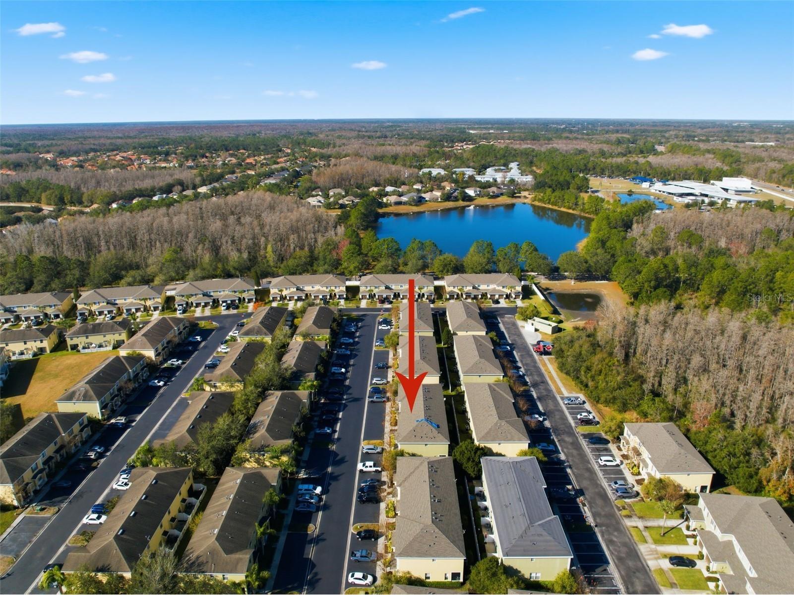 8532 Brushleaf Way Tampa FL 33647 TB8473459 image48