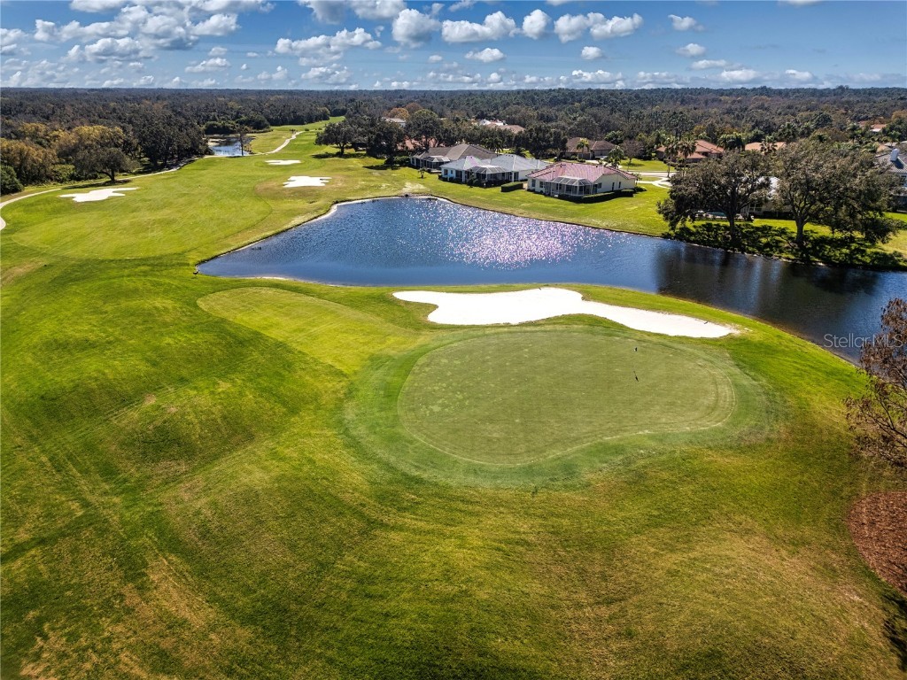 8532 Eagle Preserve Way Sarasota FL 34241 A4631106 image87