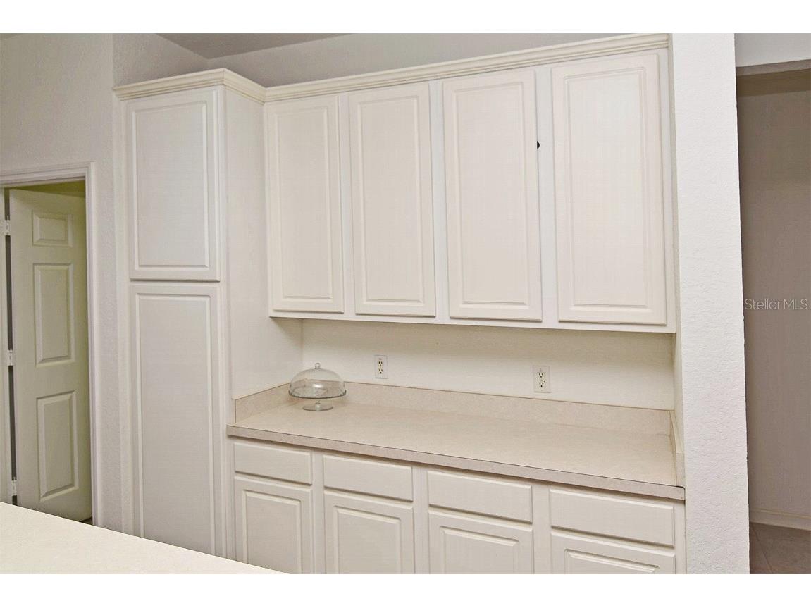 8533 Greenbank Boulevard Windermere FL 34786 O6354672 image20