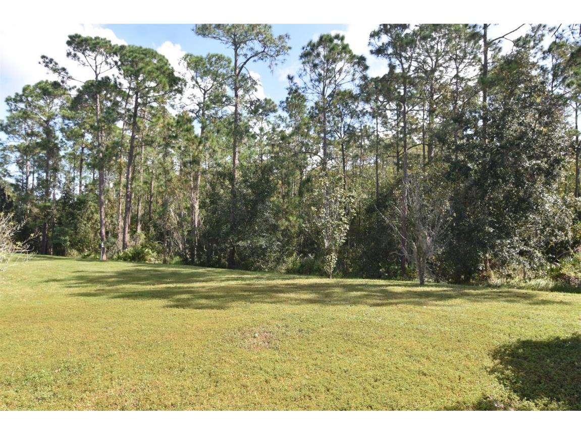 8533 Greenbank Boulevard Windermere FL 34786 O6354672 image22