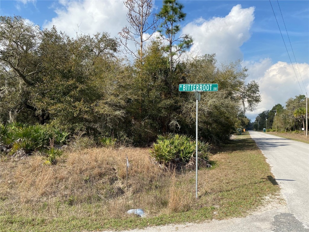 8533 N Bitterroot Drive Crystal River FL 34428 U8192386 image1