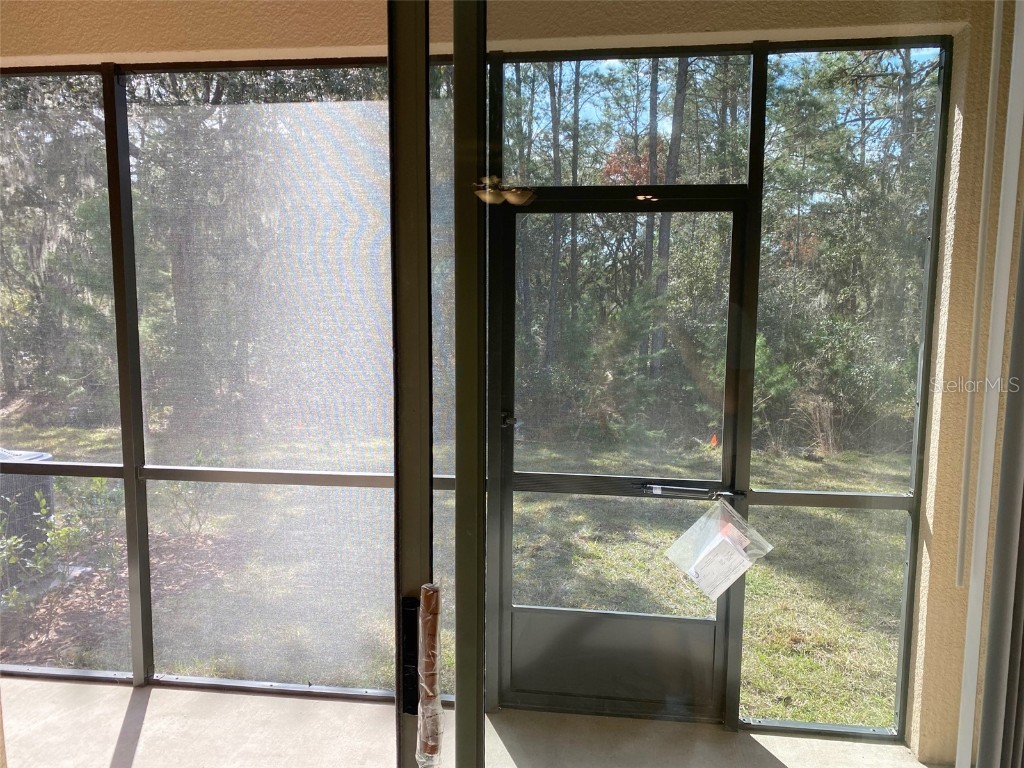 8533 Reedville Street New Port Richey FL 34654 TB8451889 image44