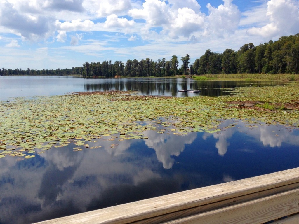 8533 Reedville Street New Port Richey FL 34654 TB8451889 image45