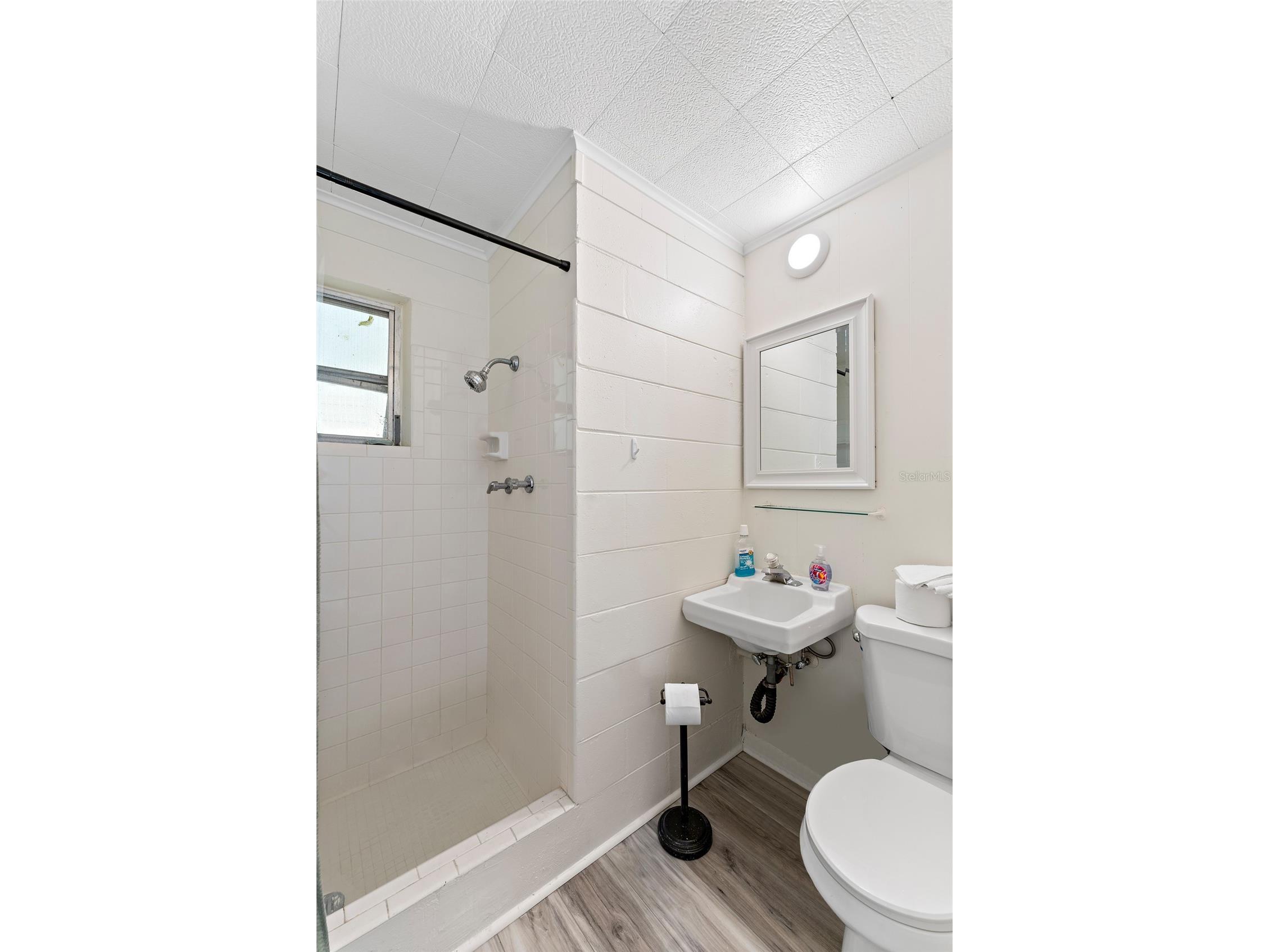 8533 W Miss Maggie Drive Homosassa FL 34448 TB8483018 image24