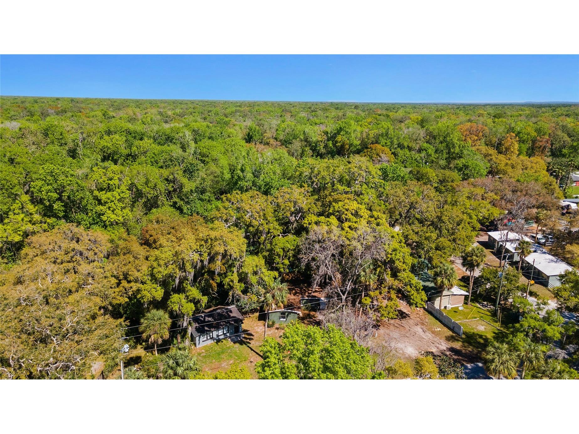 8533 W Miss Maggie Drive Homosassa FL 34448 TB8483018 image30