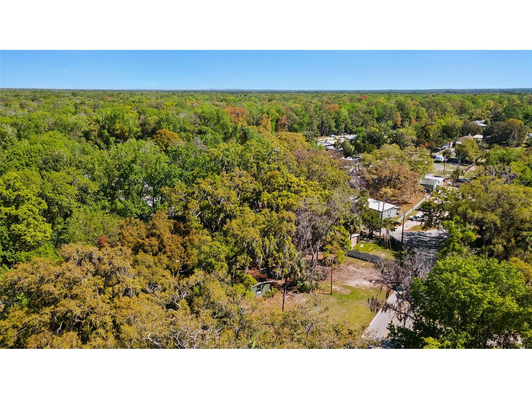 8533 W Miss Maggie Drive Homosassa FL 34448 TB8483018 image31