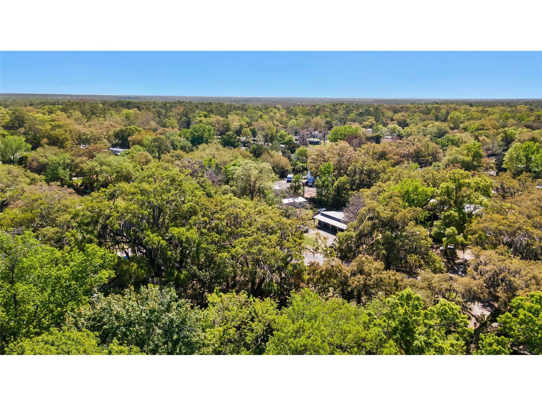 8533 W Miss Maggie Drive Homosassa FL 34448 TB8483018 image32