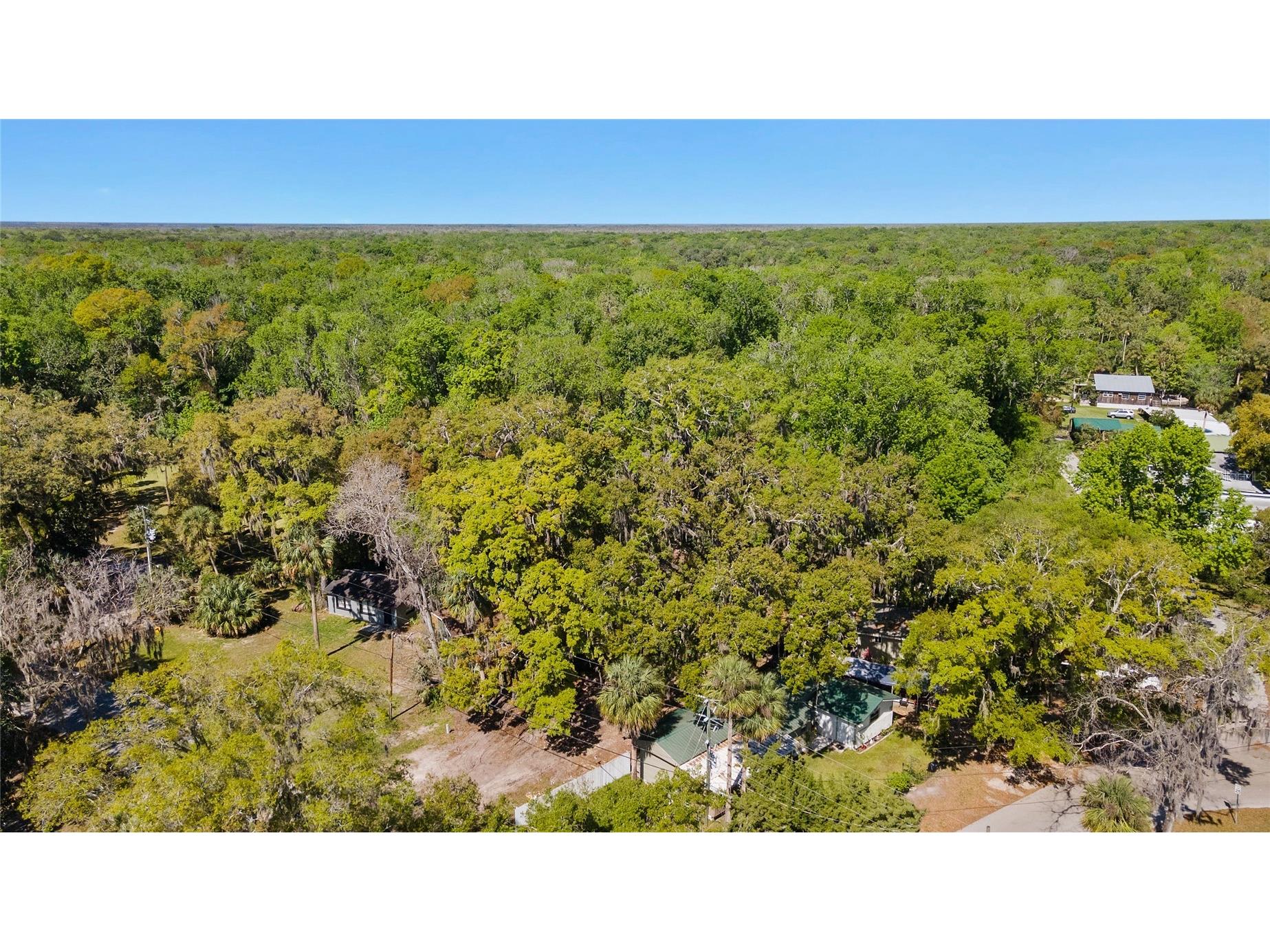 8533 W Miss Maggie Drive Homosassa FL 34448 TB8483018 image33