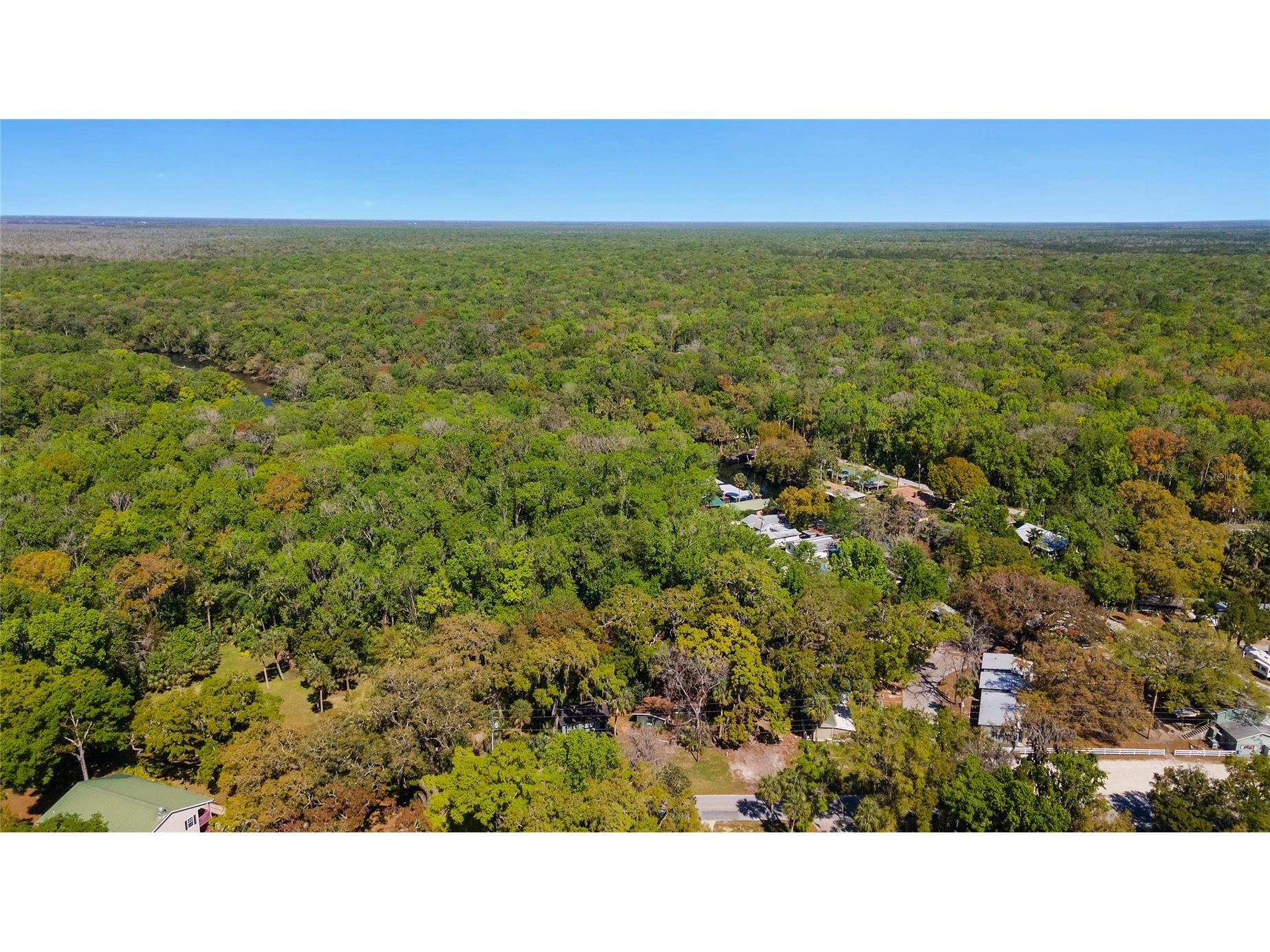 8533 W Miss Maggie Drive Homosassa FL 34448 TB8483018 image34