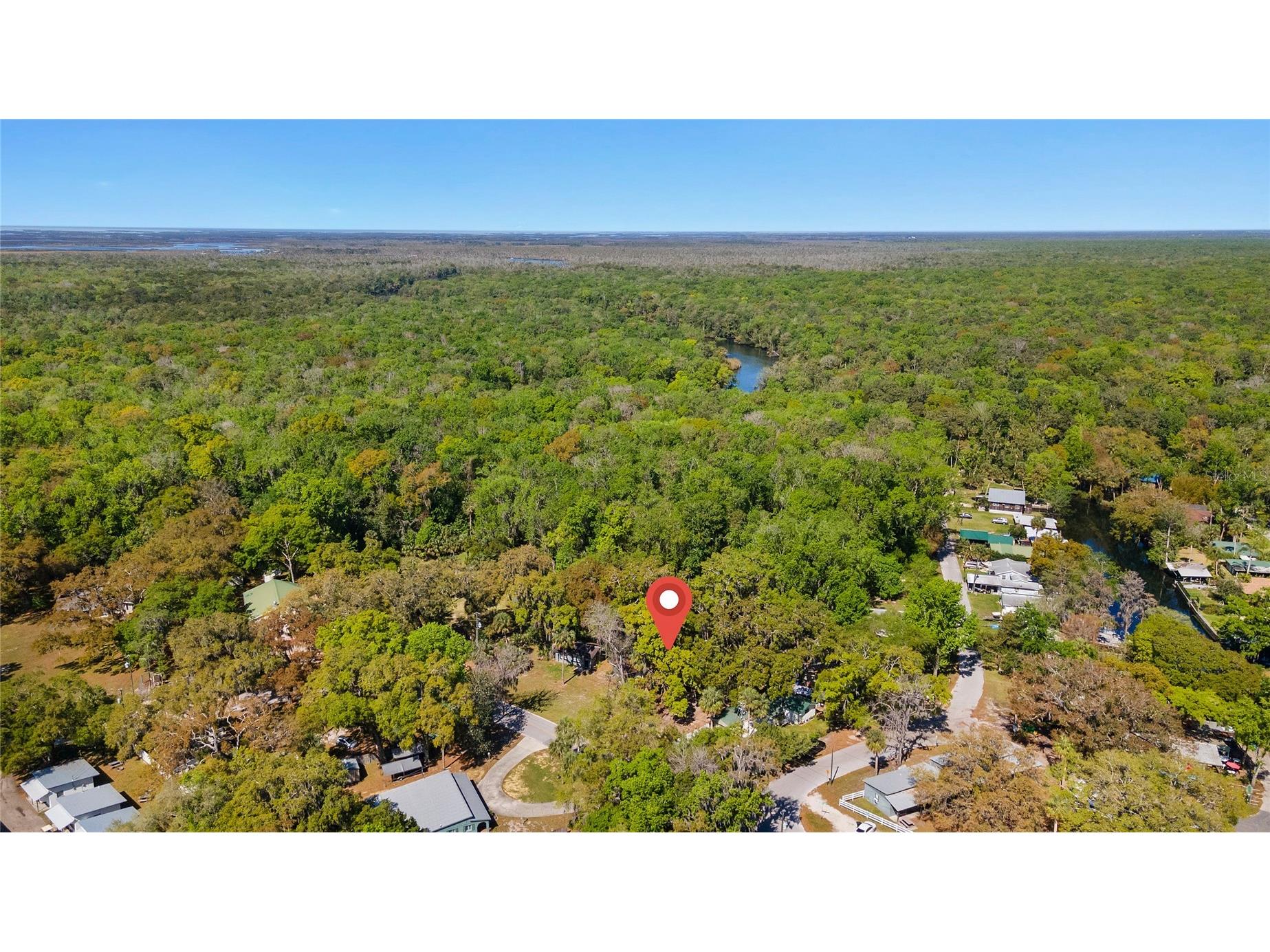 8533 W Miss Maggie Drive Homosassa FL 34448 TB8483018 image35