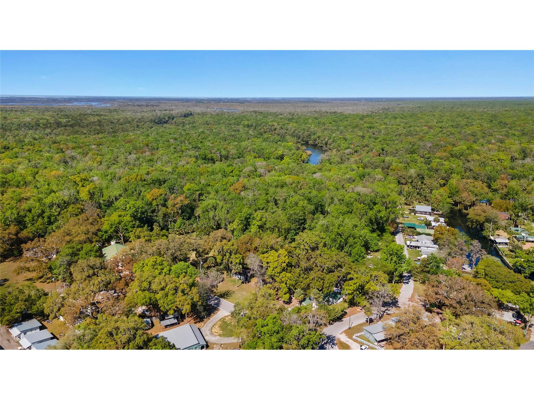 8533 W Miss Maggie Drive Homosassa FL 34448 TB8483018 image36