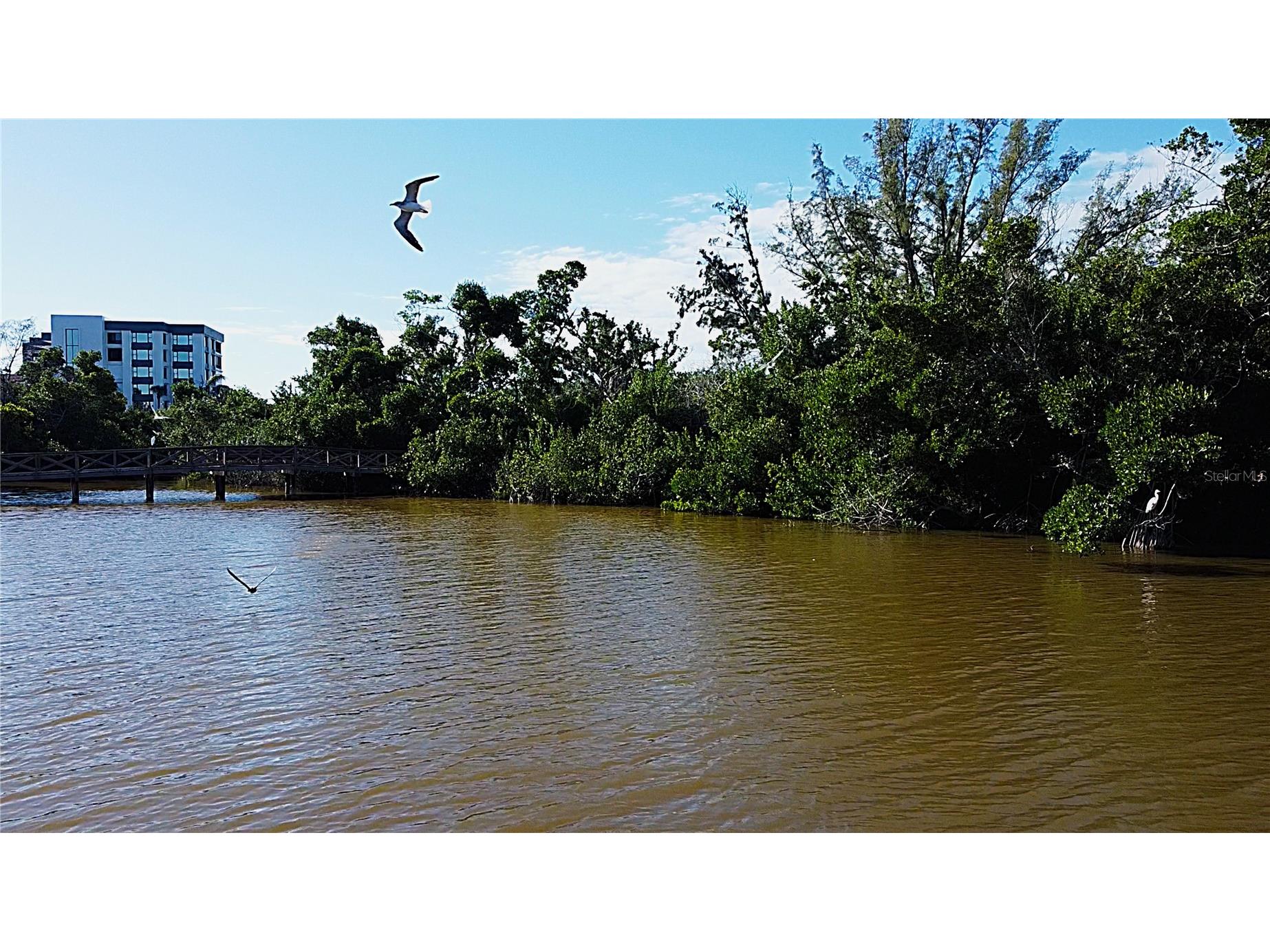 8534 Heron Lagoon Circle Sarasota FL 34242 A4633094 image10