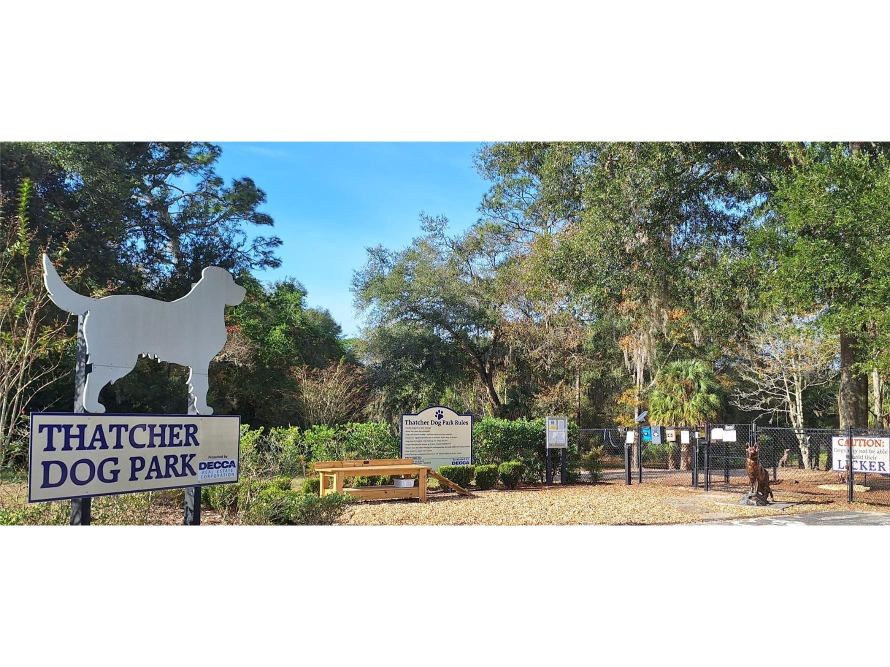 8534 SW 108th Place Road Ocala FL 34481 OM715092 image39