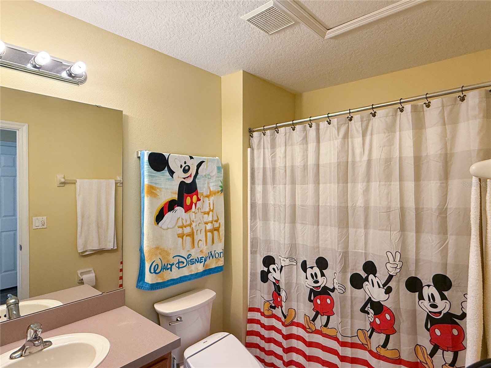 8535 Bay Lilly Loop Kissimmee FL 34747 S5141962 image23
