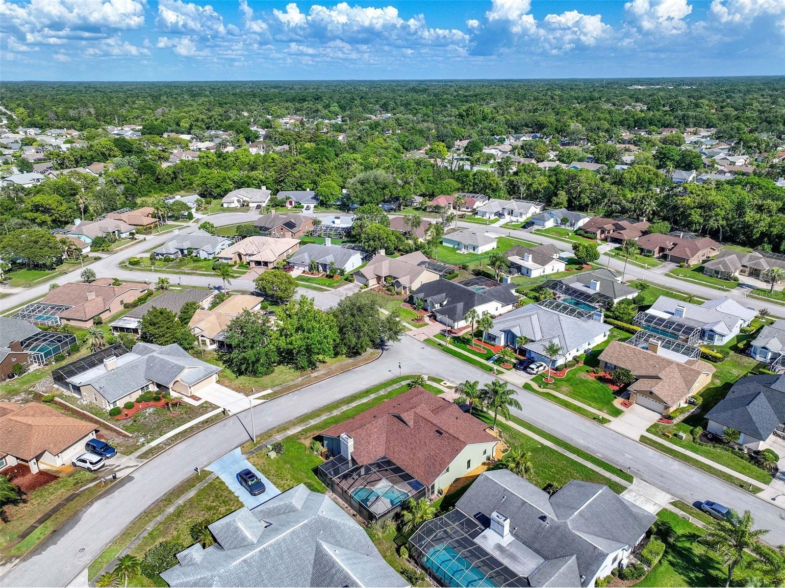 8535 Caitlin Court Hudson FL 34667 TB8511251 image47