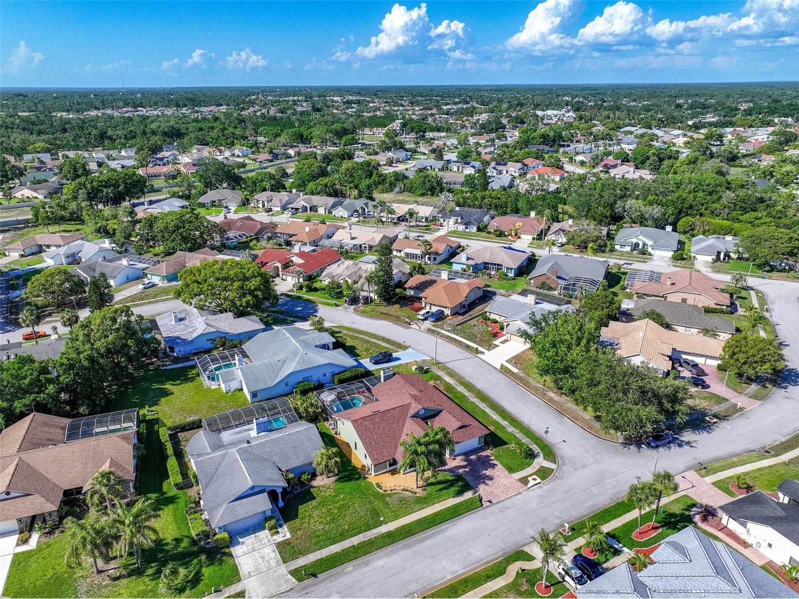 8535 Caitlin Court Hudson FL 34667 TB8511251 image48