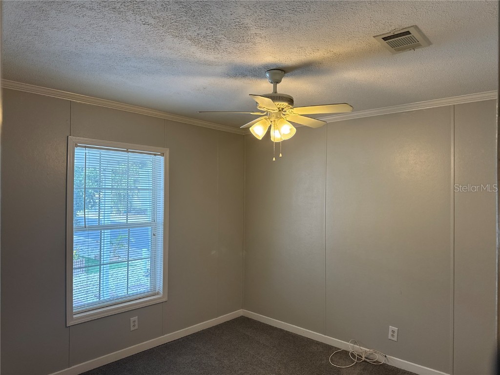 8536 Fantasia Park Way Riverview FL 33578 - LAKE FANTASIA TB8459108 image12