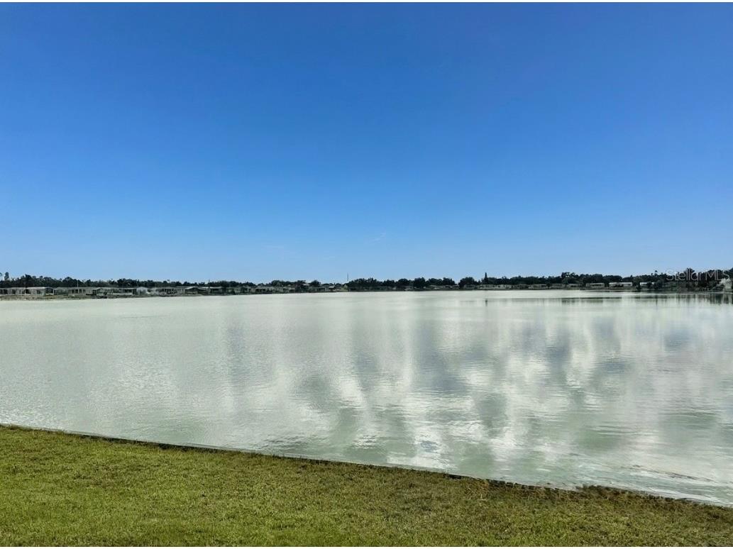 8536 Fantasia Park Way Riverview FL 33578 - LAKE FANTASIA TB8459108 image23