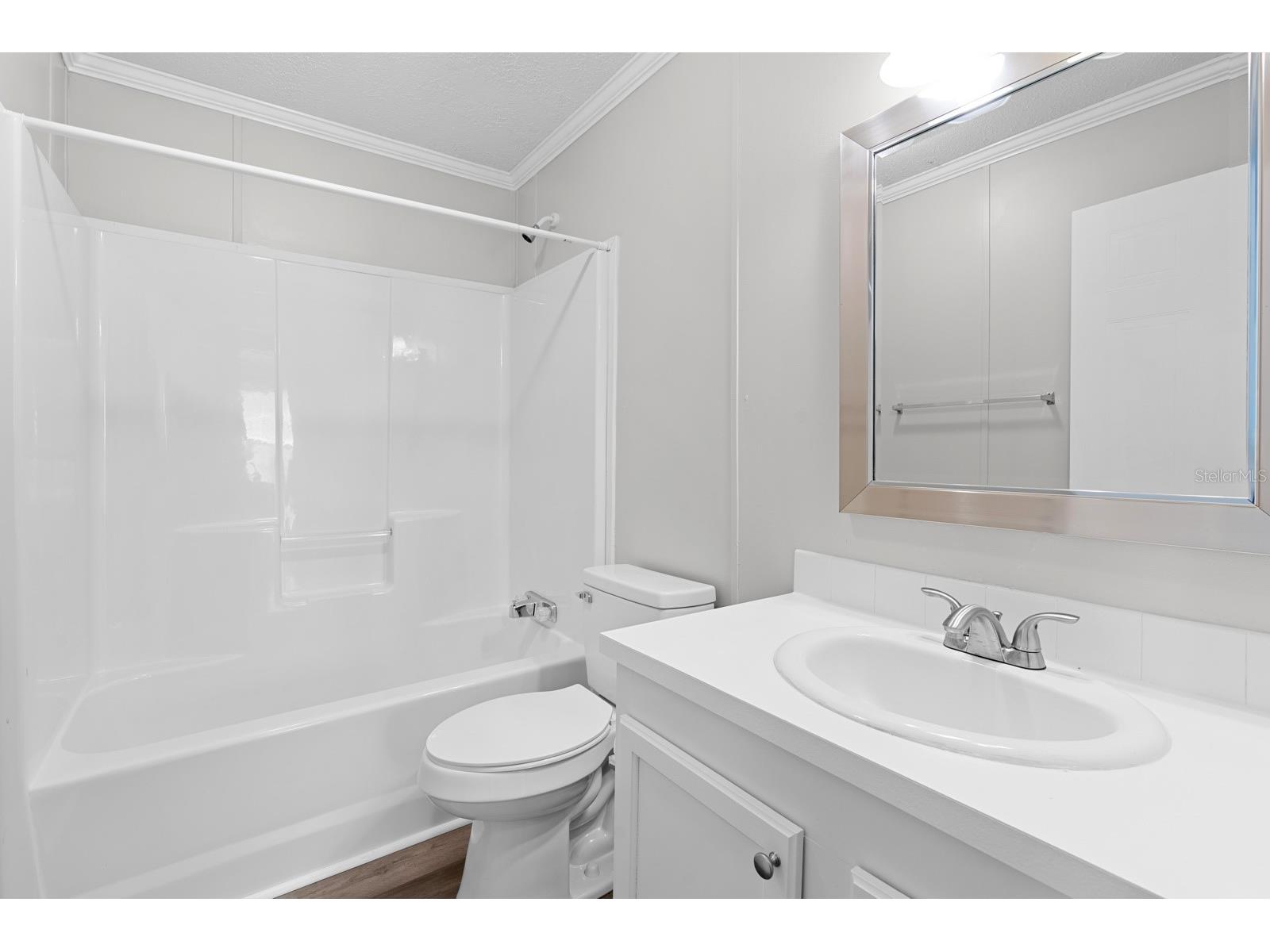 8536 Fantasia Park Way Riverview FL 33578 TB8502675 image20