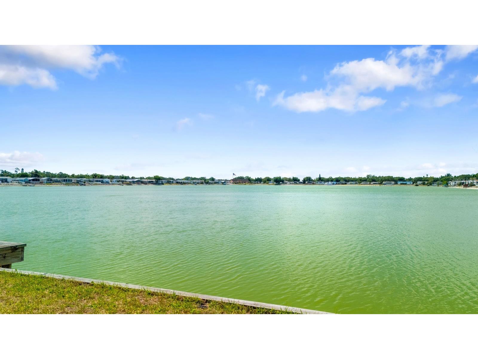 8536 Fantasia Park Way Riverview FL 33578 TB8502675 image47