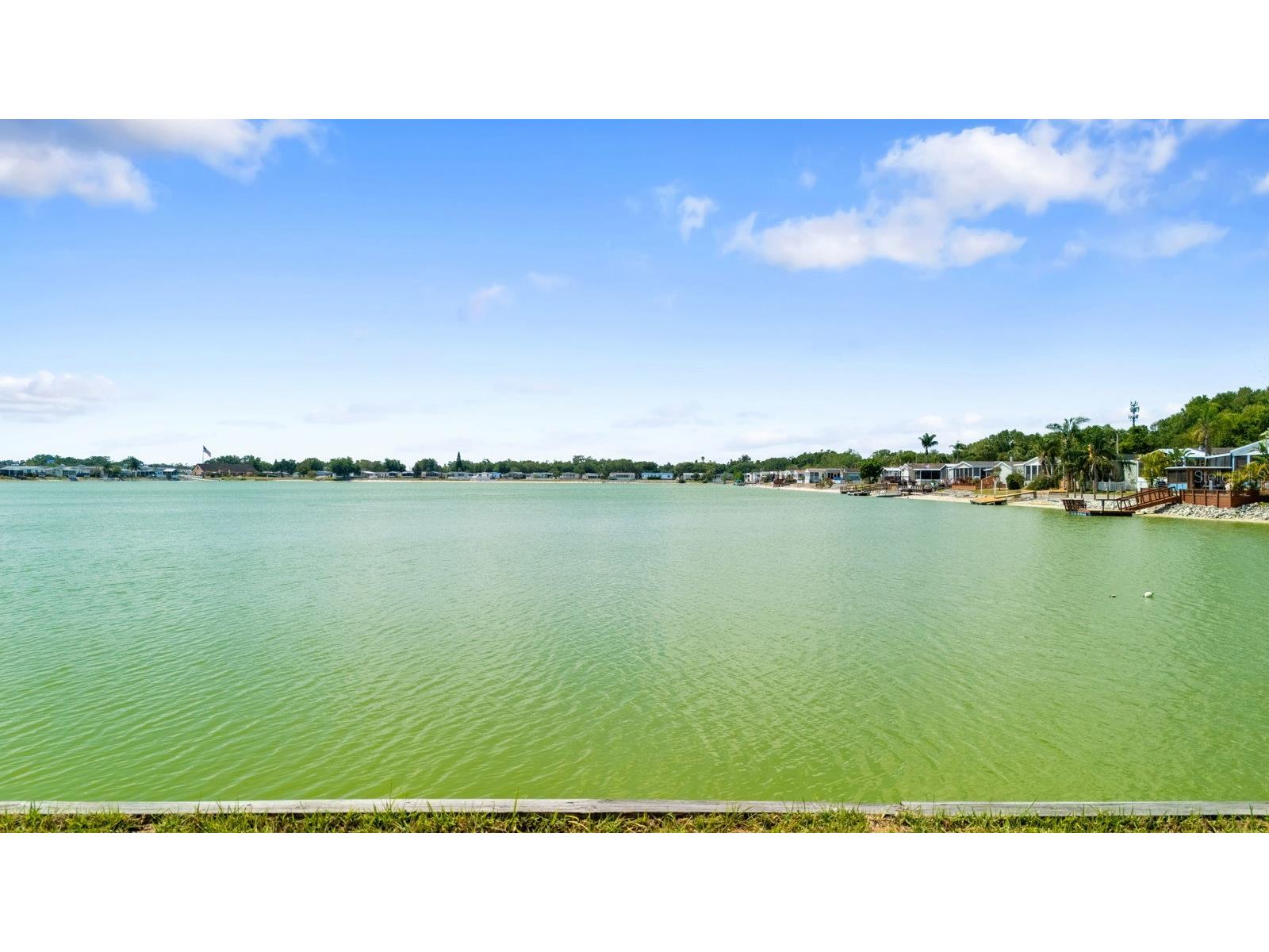 8536 Fantasia Park Way Riverview FL 33578 TB8502675 image48