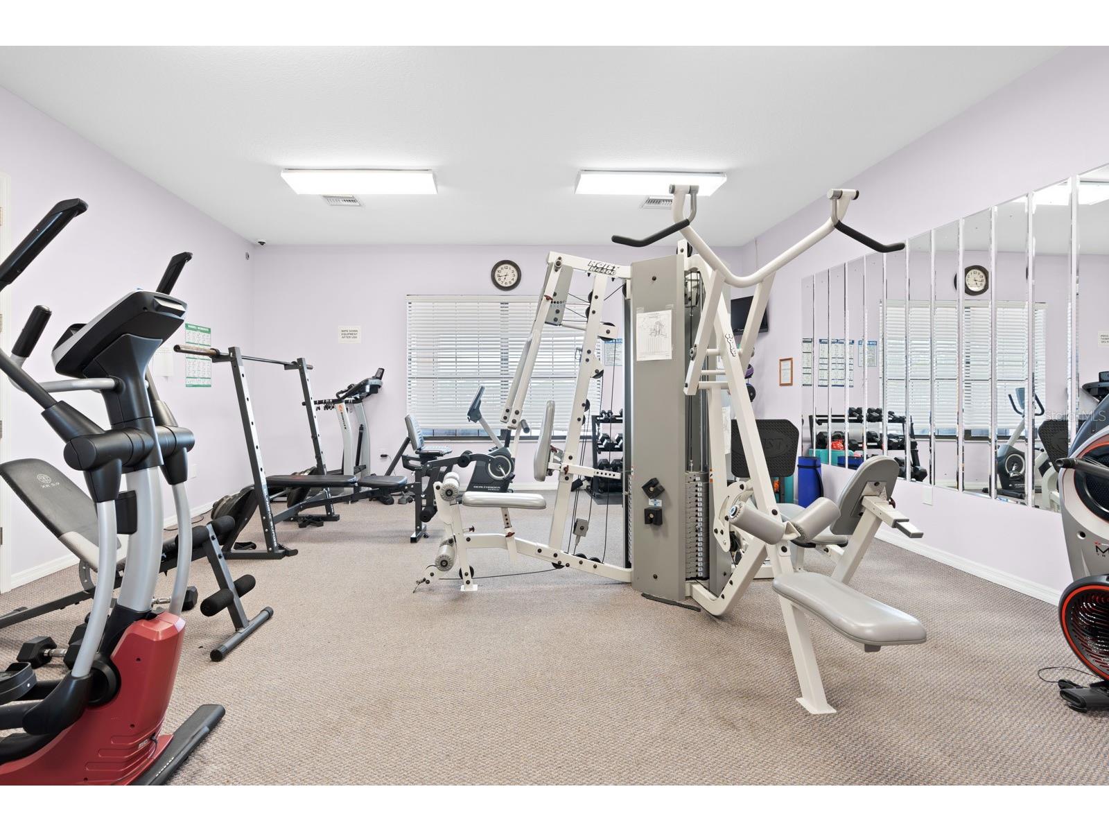 8536 Fantasia Park Way Riverview FL 33578 TB8502675 image62