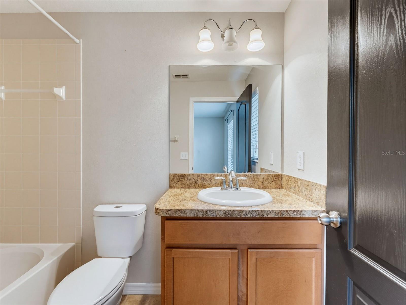 8537 Brushleaf Way Tampa FL 33647 TB8527917 image46