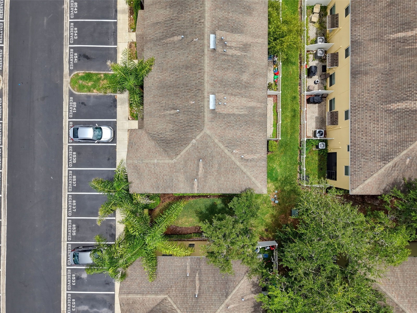 8537 Brushleaf Way Tampa FL 33647 TB8527917 image59