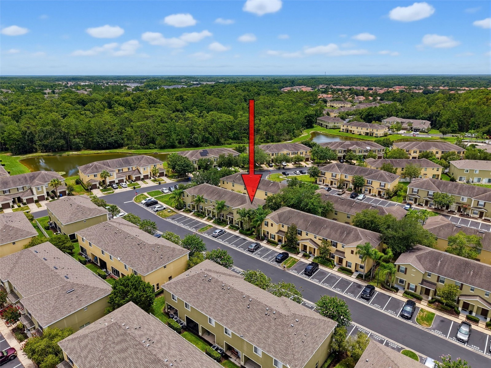 8537 Brushleaf Way Tampa FL 33647 TB8527917 image62