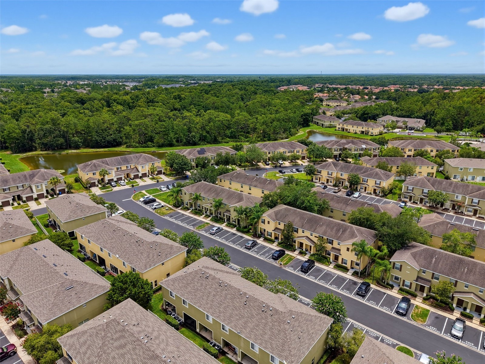 8537 Brushleaf Way Tampa FL 33647 TB8527917 image63