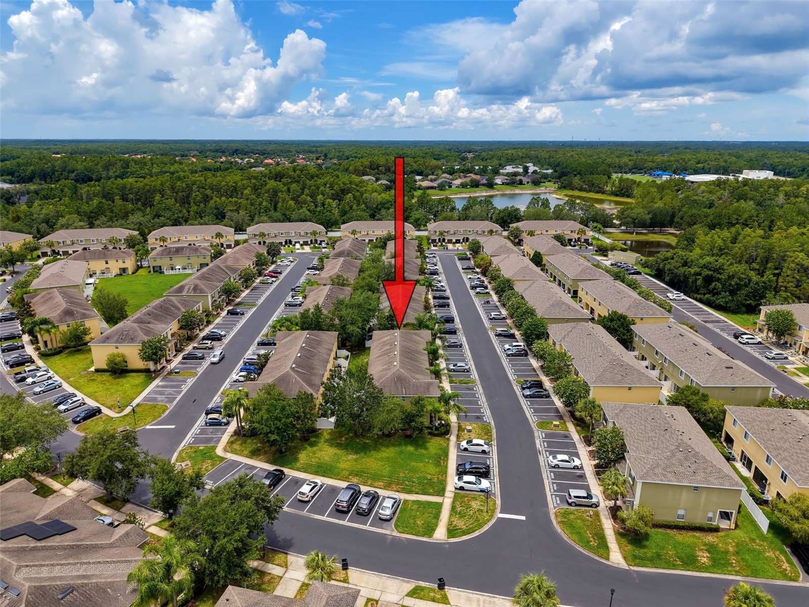 8537 Brushleaf Way Tampa FL 33647 TB8527917 image68