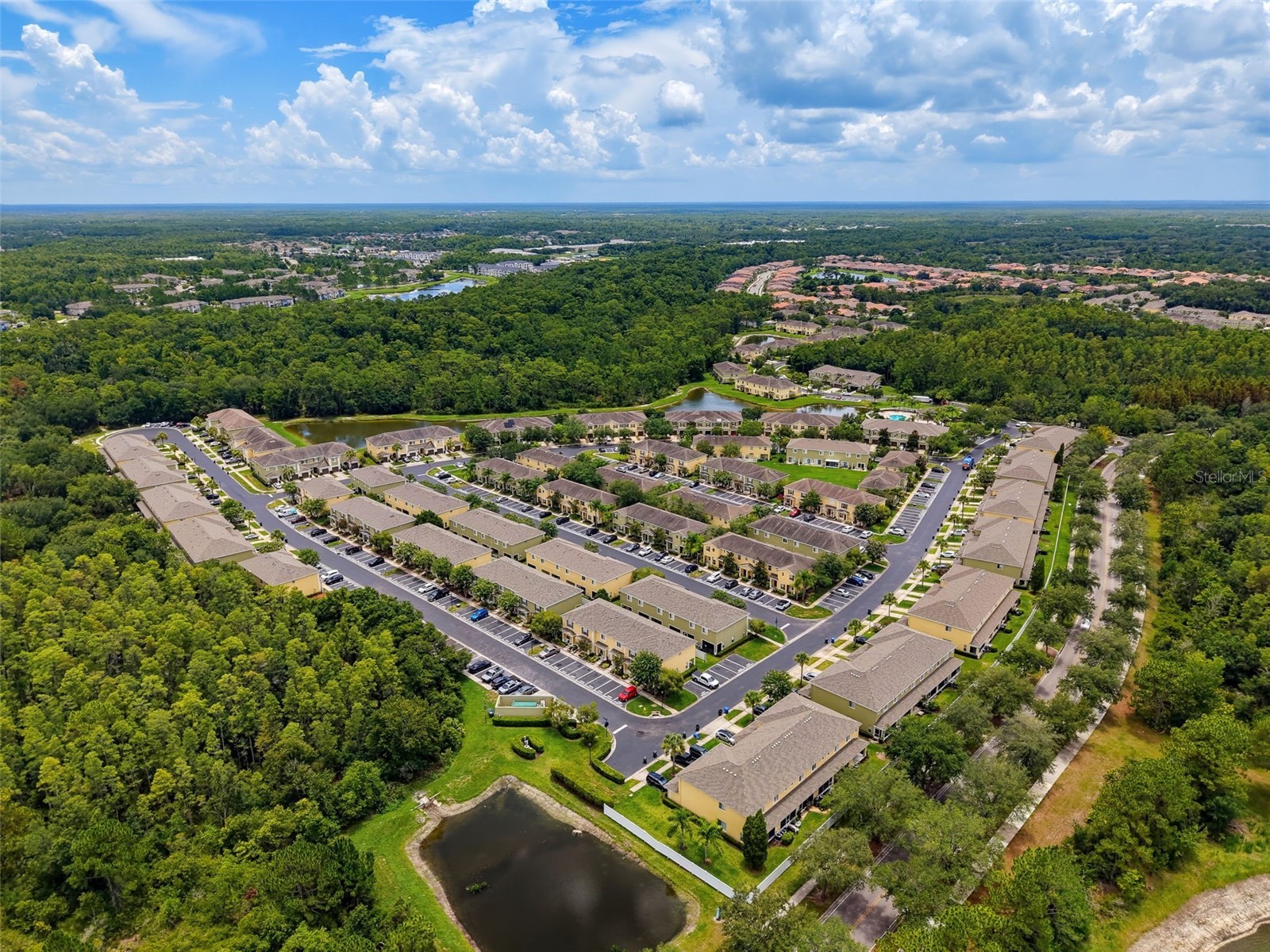 8537 Brushleaf Way Tampa FL 33647 TB8527917 image71