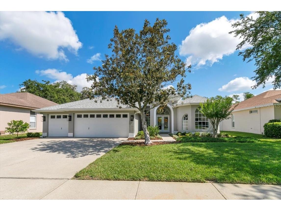 8537 Orsi Court Trinity FL 34655 U8201401 image1