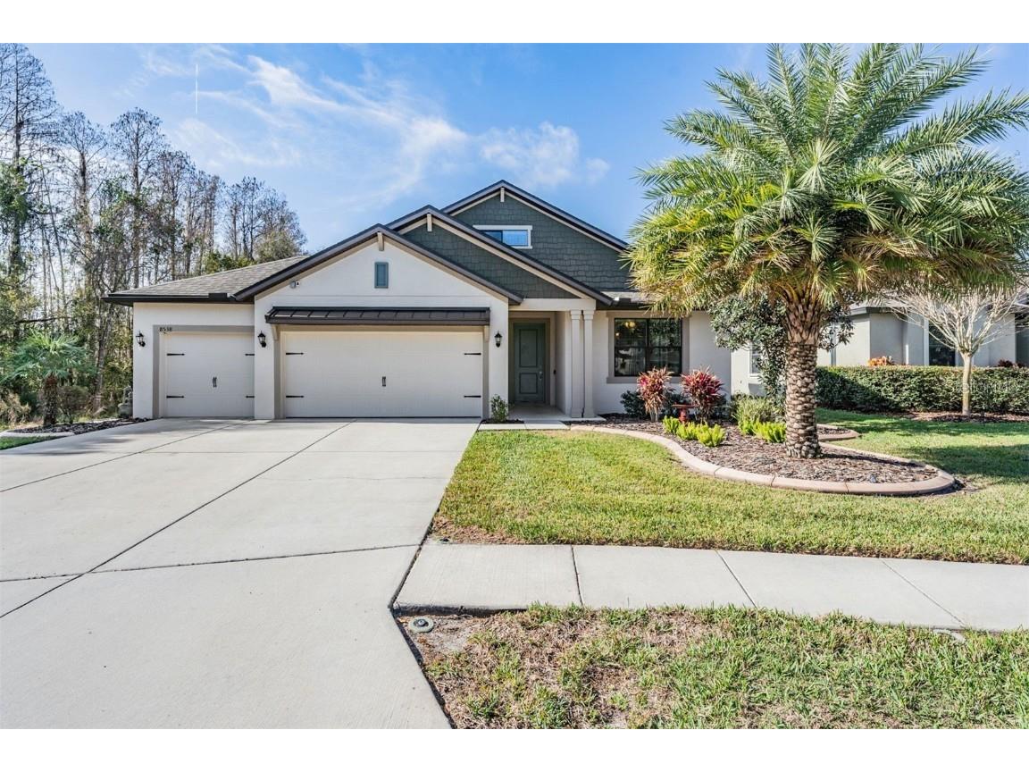 8538 May Port Court Land O Lakes FL 34638 T3428499 image1
